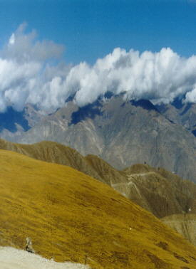 NEPALTUNDRA